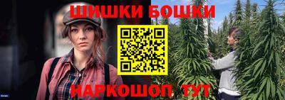 крисы Кунгур
