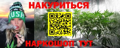 крисы Кунгур