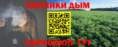 крисы Кунгур