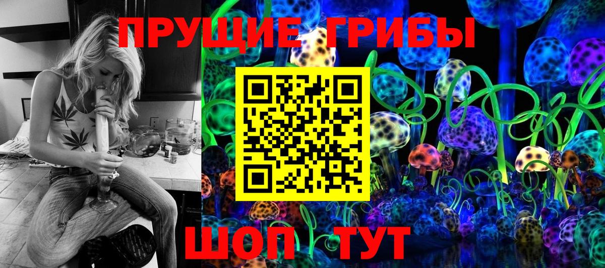 Псилоцибиновые грибы Psilocybe Долгопрудный